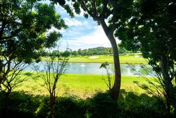 Cove Drive (D4), Terrace #446071841